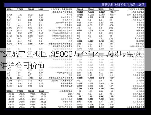 *ST龙宇：拟回购5000万至1亿元A股股票以维护公司价值