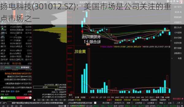 扬电科技(301012.SZ)：美国市场是公司关注的重点市场之一