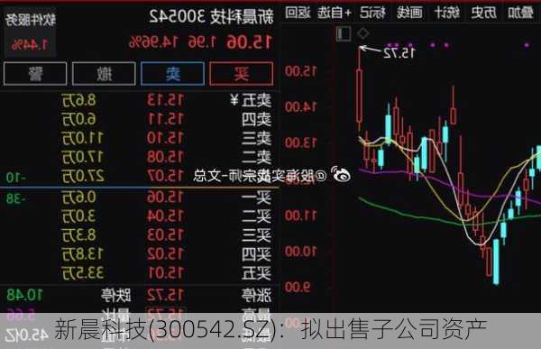 新晨科技(300542.SZ)：拟出售子公司资产