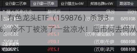 懵了！有色龙头ETF（159876）杀跌3．3%，冷不丁被浇了一盆凉水！后市何去何从？