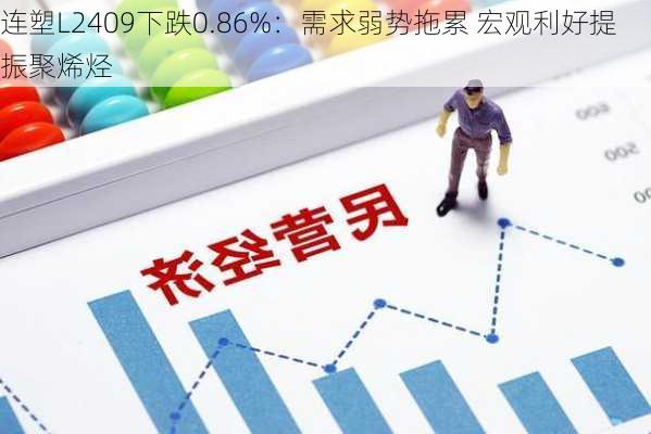 连塑L2409下跌0.86%：需求弱势拖累 宏观利好提振聚烯烃