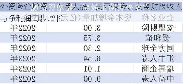 外资险企增资、入场火热！美亚保险、安盟财险收入与净利润同步增长