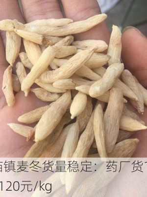 欧庙镇麦冬货量稳定：药厂货110-120元/kg