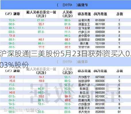 沪深股通|三美股份5月23日获外资买入0.03%股份