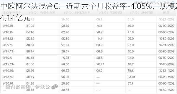 中欧阿尔法混合C：近期六个月收益率-4.05%，规模24.14亿元