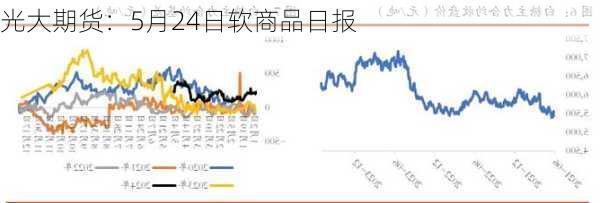 光大期货：5月24日软商品日报