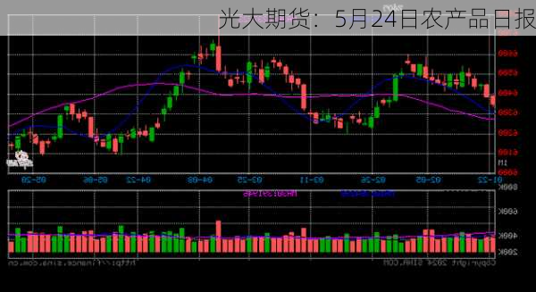 光大期货：5月24日农产品日报