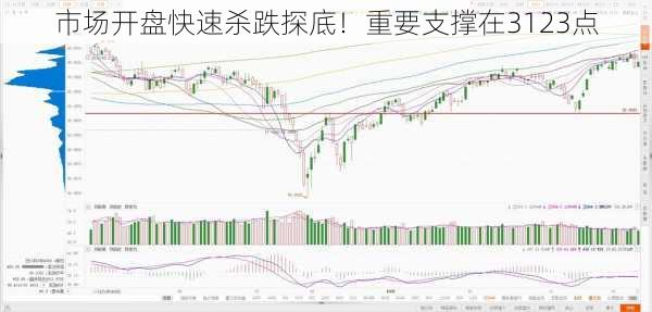 市场开盘快速杀跌探底！重要支撑在3123点