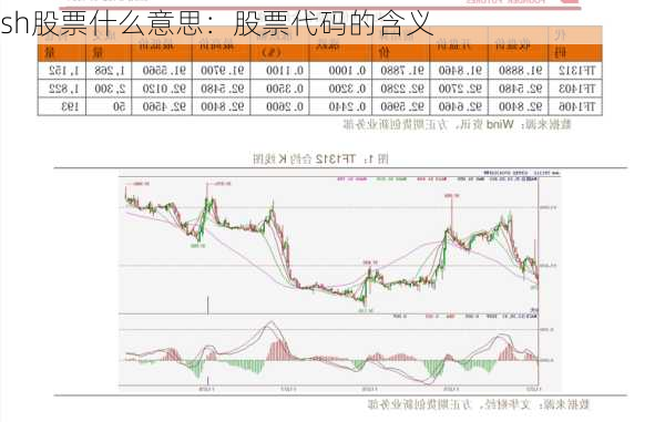 sh股票什么意思：股票代码的含义