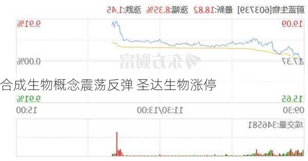 合成生物概念震荡反弹 圣达生物涨停