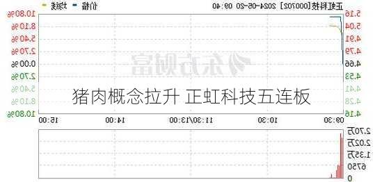 猪肉概念拉升 正虹科技五连板