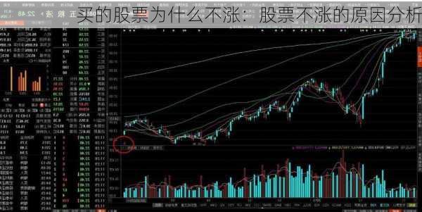 买的股票为什么不涨：股票不涨的原因分析