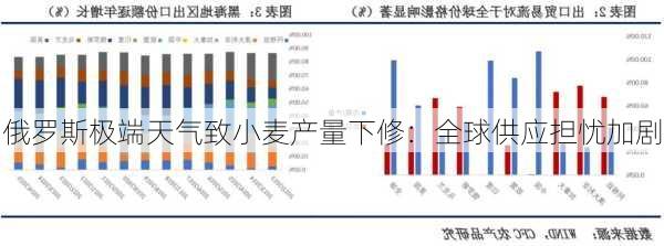 俄罗斯极端天气致小麦产量下修：全球供应担忧加剧