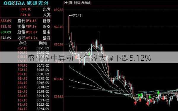 盛业盘中异动 下午盘大幅下跌5.12%