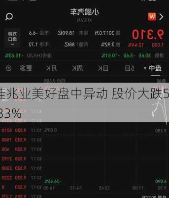 佳兆业美好盘中异动 股价大跌5.33%