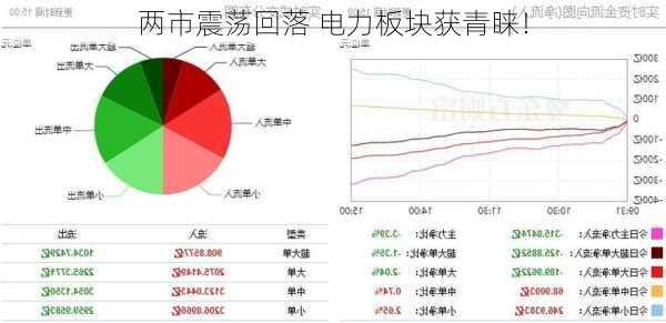 两市震荡回落 电力板块获青睐！