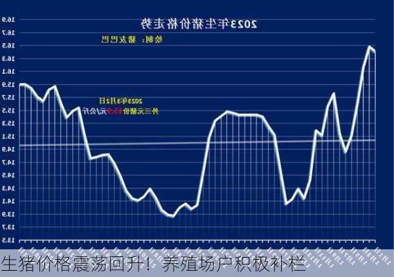 生猪价格震荡回升！养殖场户积极补栏