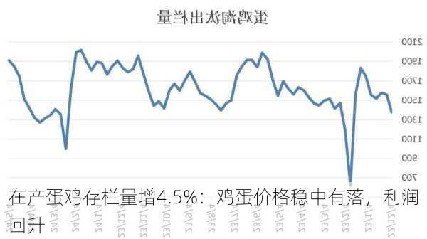 在产蛋鸡存栏量增4.5%：鸡蛋价格稳中有落，利润回升