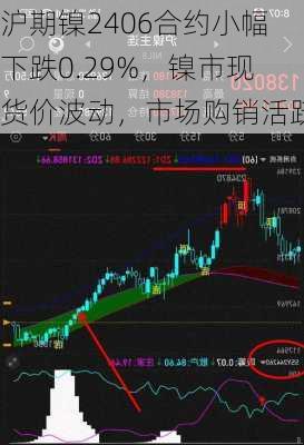 沪期镍2406合约小幅下跌0.29%，镍市现货价波动，市场购销活跃