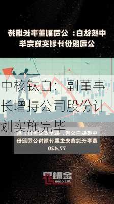 中核钛白：副董事长增持公司股份计划实施完毕