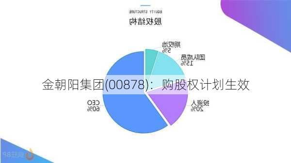 金朝阳集团(00878)：购股权计划生效