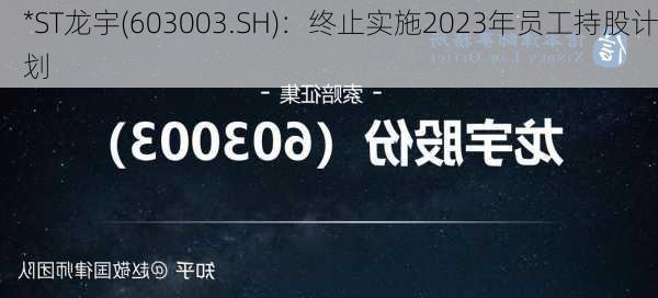 *ST龙宇(603003.SH)：终止实施2023年员工持股计划