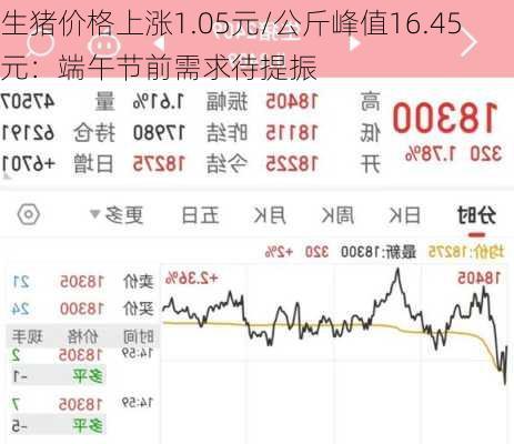 生猪价格上涨1.05元/公斤峰值16.45元：端午节前需求待提振