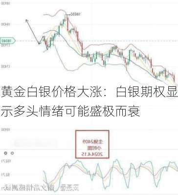 黄金白银价格大涨：白银期权显示多头情绪可能盛极而衰