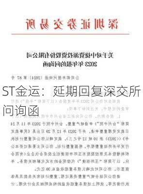 ST金运：延期回复深交所问询函