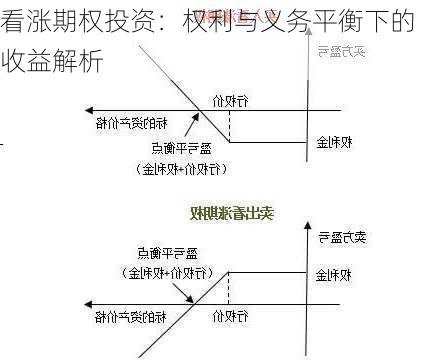 看涨期权投资：权利与义务平衡下的收益解析