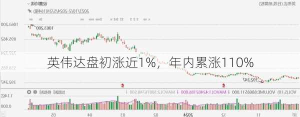 英伟达盘初涨近1%，年内累涨110%