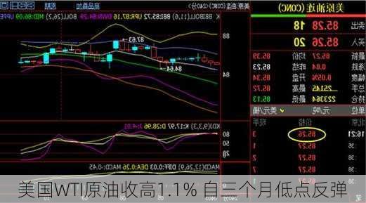 美国WTI原油收高1.1% 自三个月低点反弹