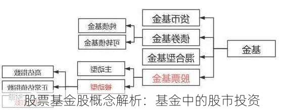 股票基金股概念解析：基金中的股市投资