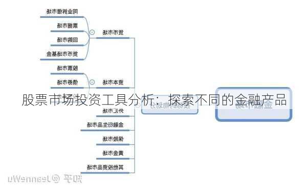 股票市场投资工具分析：探索不同的金融产品