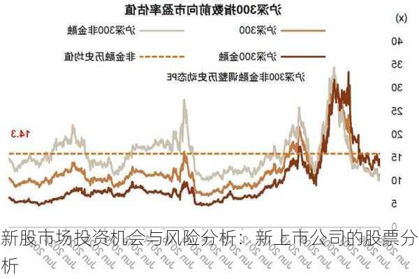 新股市场投资机会与风险分析：新上市公司的股票分析