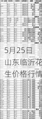 5月25日山东临沂花生价格行情