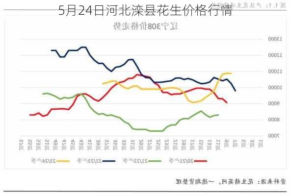 5月24日河北滦县花生价格行情