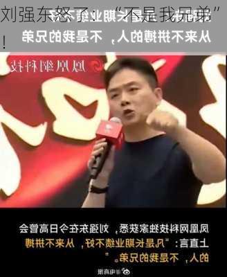 刘强东怒了：“不是我兄弟”！