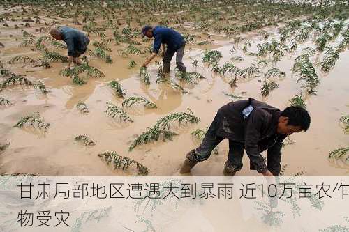 甘肃局部地区遭遇大到暴雨 近10万亩农作物受灾