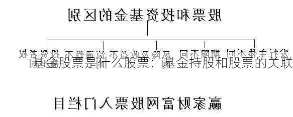 基金股票是什么股票：基金持股和股票的关联