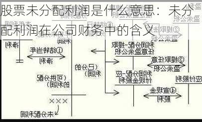 股票未分配利润是什么意思：未分配利润在公司财务中的含义