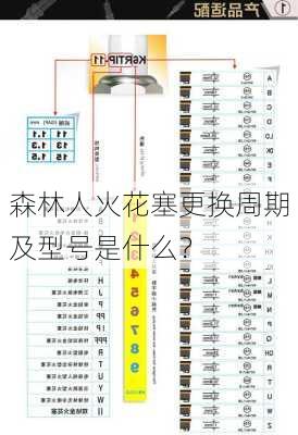 森林人火花塞更换周期及型号是什么？