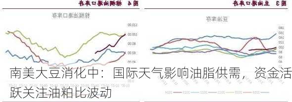 南美大豆消化中：国际天气影响油脂供需，资金活跃关注油粕比波动