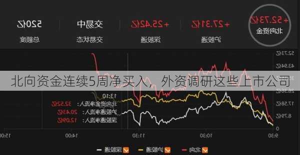 北向资金连续5周净买入，外资调研这些上市公司