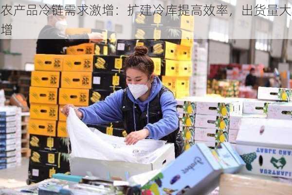 农产品冷链需求激增：扩建冷库提高效率，出货量大增