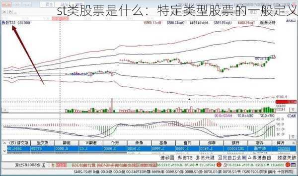 st类股票是什么：特定类型股票的一般定义