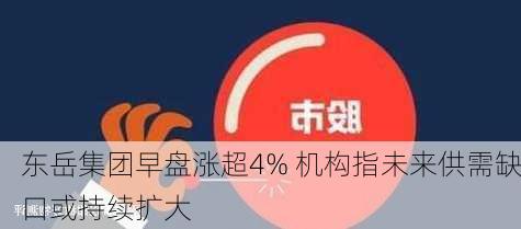 东岳集团早盘涨超4% 机构指未来供需缺口或持续扩大