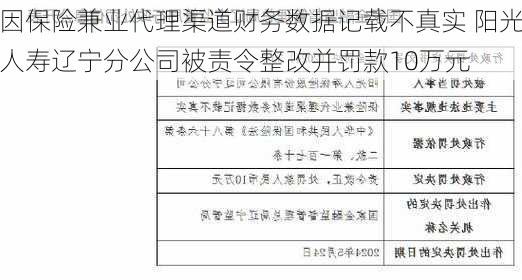 因保险兼业代理渠道财务数据记载不真实 阳光人寿辽宁分公司被责令整改并罚款10万元