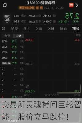 交易所灵魂拷问巨轮智能，股价立马跌停！