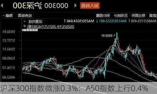 沪深300指数微涨0.3%：A50指数上行0.4%